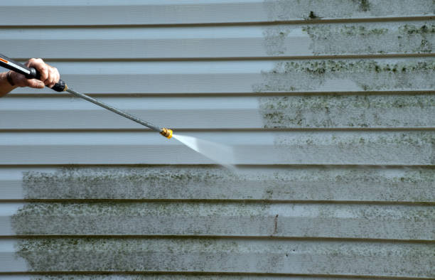 Best Building Exterior Pressure Washing in Seminole Manor, FL